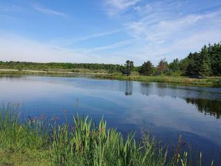 6 person holiday home in Vinderup-By Traum - 2