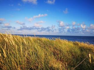 Cozy Beach Retreat in Blavand - By Traum Ferienwohnungen - 2