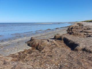 6 person holiday home in Ålbæk-By Traum - 5