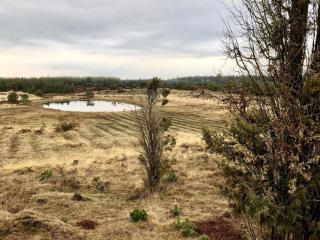 5 person holiday home in Grindsted - 1