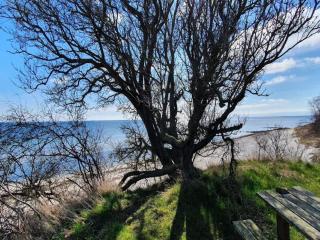 12 person holiday home in Væggerløse - 5