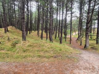 8 person holiday home in Rømø-By Traum - 9