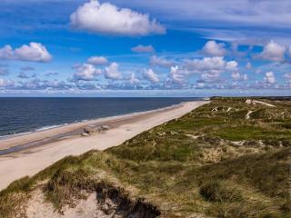 16 person holiday home in Ulfborg - 5