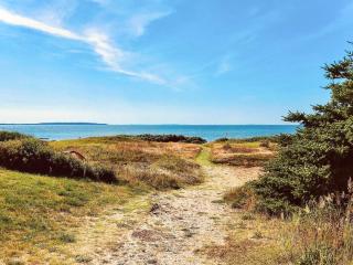 Secluded Forest Haven-By Traum - 1