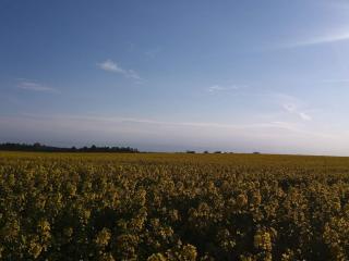 4 star holiday home in Jægerspris - 4