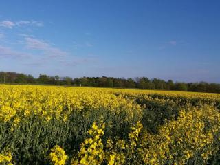 4 star holiday home in Jægerspris - 2