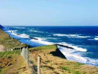 14 person holiday home in Vejby - 1