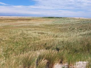 Luxury Family Retreat - By Traum Ferienwohnungen - 9