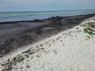 10 person holiday home in Rødby-By Traum - 6