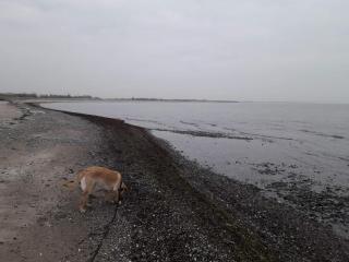 10 person holiday home in Rødby-By Traum - 5