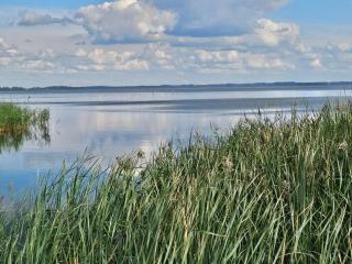 7 person holiday home in Ulfborg-By Traum - 1