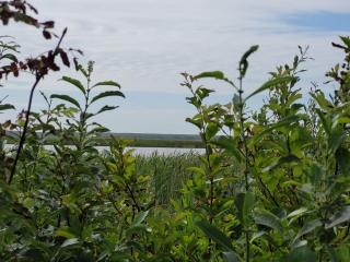 7 person holiday home in Ulfborg-By Traum - 3