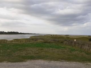 Tranquil Retreat in Hou Oasis-By Traum - 4