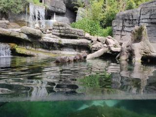 6 person holiday home in Ebeltoft - 3