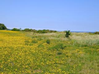 4 person holiday home in Gedser - 1