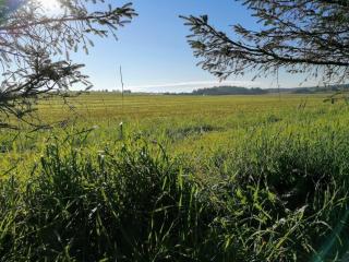 8 person holiday home in Løkken - 9