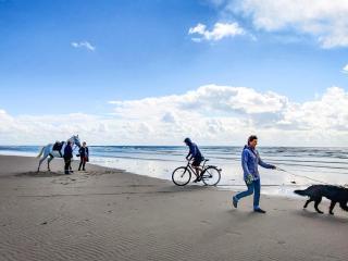 9 person holiday home in Rømø - 3
