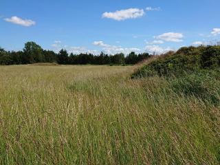 6 person holiday home in Højslev-By Traum - 1