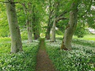 6 person holiday home in Højslev-By Traum - 4
