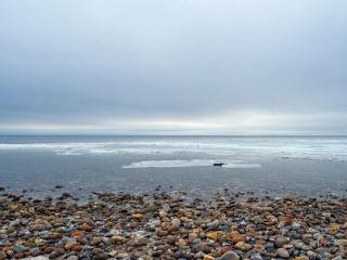 8 person holiday home in Hurup Thy-By Traum - 7