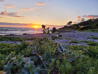 6 person holiday home in Slagelse - 3