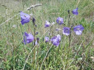 6 person holiday home in Nykøbing Sj-By Traum - 4