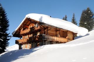 Brandstatt Alm - 9