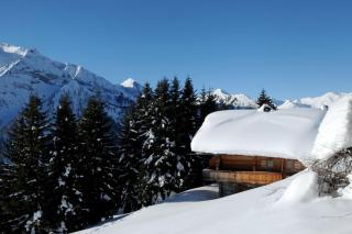 Brandstatt Alm - 7