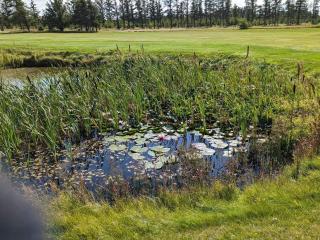 6 person holiday home in Løkken-By Traum - 3