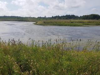 6 person holiday home in Løkken-By Traum - 2