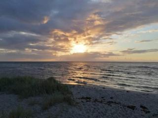 Secluded Dune Cottage-By Traum - 2