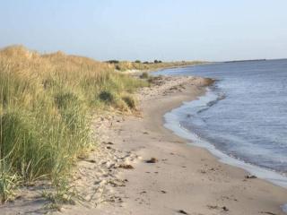 Secluded Dune Cottage-By Traum - 3