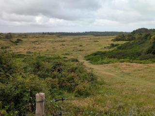 6 person holiday home in Saltum - 8