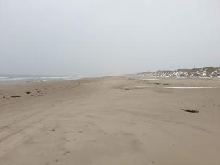 6 person holiday home in Saltum - 2