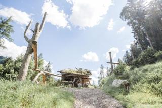 Chalet Almrausch - 3