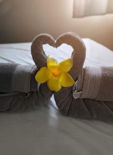 Hotel El Colibri Rojo - Cabinas - Le Colibri Rouge - 4