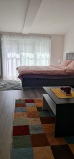 Studio apartmani Banja Koviljaca - 6