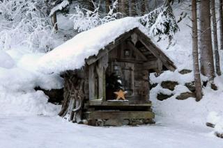 Forsthaus Daringer - 2