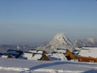Erlakogelhütte am Feuerkogel - 1