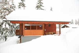 Alpine-Lodges Theresia - 9