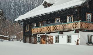 Bauernhaus Lammertal - 4