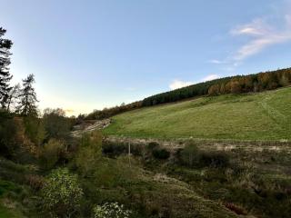 Cosy Cottage on the Whisky Trail - 8