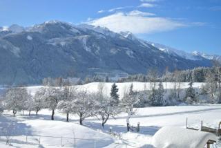 Bauernhaus Hollersbach - 6