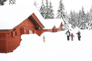 Alpine-Lodges Gertraud - 5