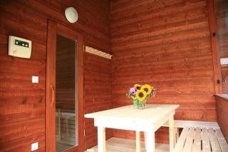 Alpine-Lodges Gertraud - 2