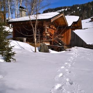 Hüttenurlaub in der Goldwäscherhütt in Zell a See by FeWo-Planrhütte Nähe - 8