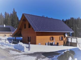 Hüttendorf Flattnitz - Typ B - 8