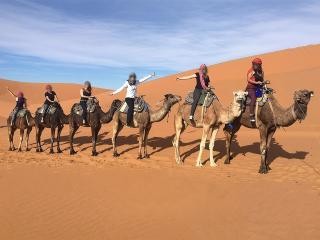 Sahara Solace Camp - 6