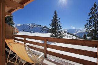 Chalet Brechhorn Landhaus - Gründau - 3