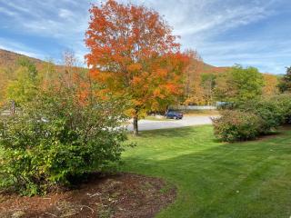 Stylish Loon Mountain Studio Condo with Pool and Hot Tub - Lincoln - 9